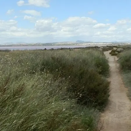 Salt Near And
